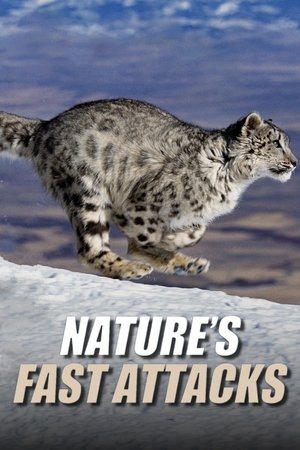 Nature's Fast Attacks Nature's Fast Attacks-hd