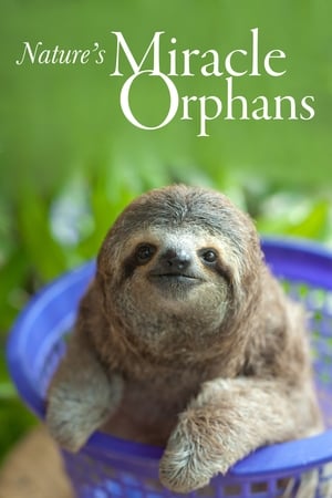 Nature's Miracle Orphans Nature's Miracle Orphans-hd