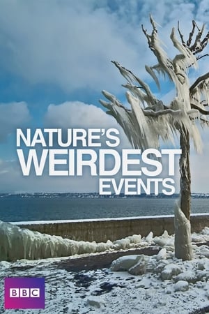 Nature's Weirdest Events Nature's Weirdest Events-hd