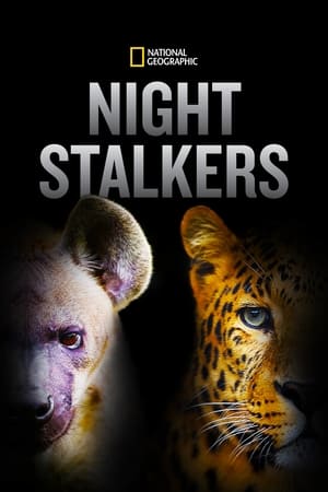 Night Stalkers-hd