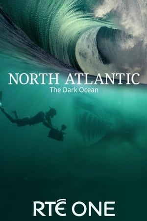 North Atlantic: The Dark Ocean North Atlantic: The Dark Ocean-hd