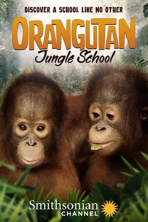 Orangutan Jungle School-hd