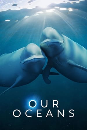 Our Oceans Our Oceans-hd