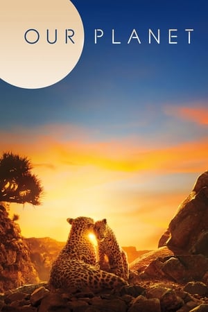Our Planet Our Planet-hd