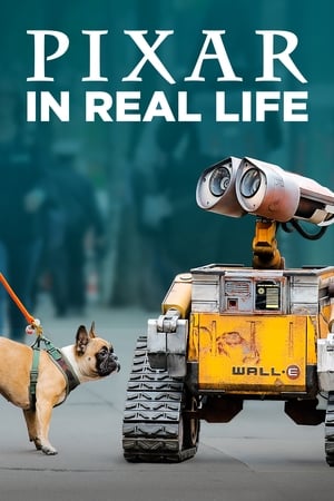Pixar in Real Life Pixar in Real Life-hd