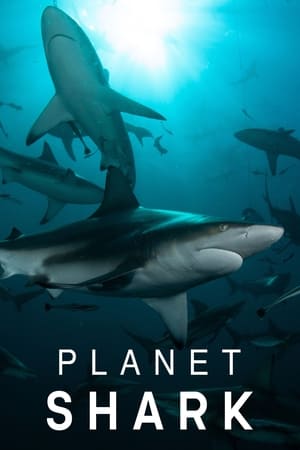 Planet Shark Planet Shark-hd