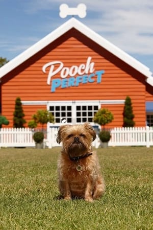 Pooch Perfect Pooch Perfect-hd