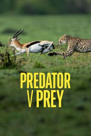 Predator v Prey Predator v Prey-hd