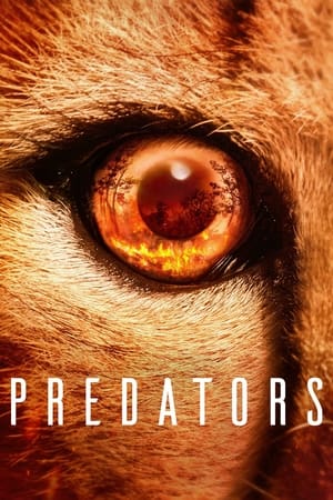 Predators Predators-hd