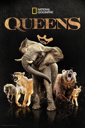 Queens Queens-hd