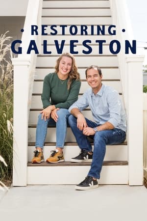 Restoring Galveston Restoring Galveston-hd