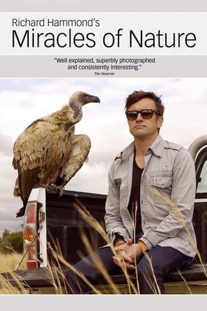 Richard Hammond's Miracles of Nature Richard Hammond's Miracles of Nature-hd