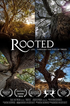 Rooted-hd