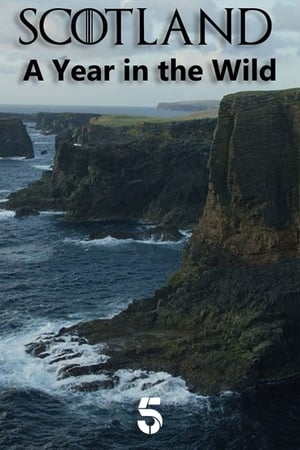 Scotland: A Year In The Wild Scotland: A Year In The Wild-hd