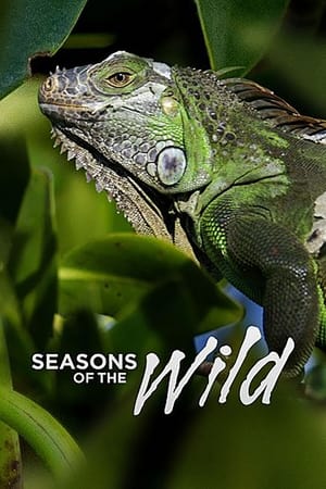 Seasons of the Wild-hd