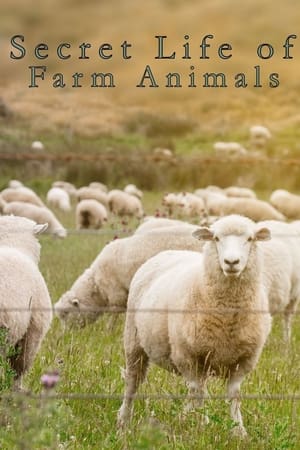 Secret Life of Farm Animals-hd