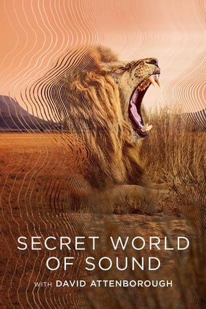 Secret World of Sound Secret World of Sound-hd