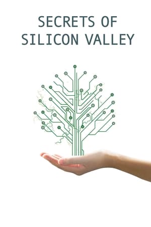 Secrets of Silicon Valley-hd