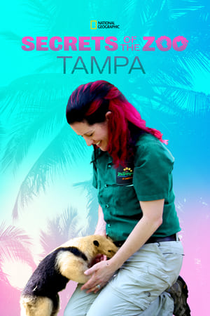 Secrets of the Zoo: Tampa-hd