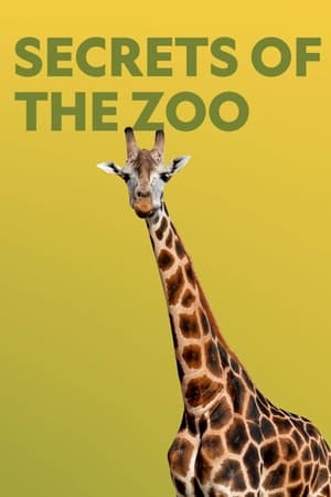 Secrets of the Zoo-hd