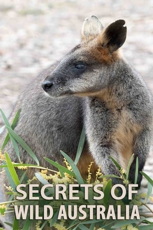 Secrets of Wild Australia Secrets of Wild Australia-hd