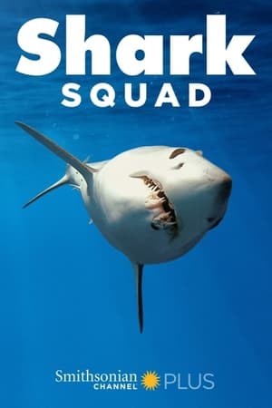 Shark Squad Shark Squad-hd