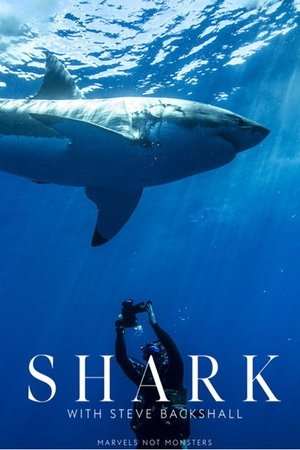 Shark with Steve Backshall-hd