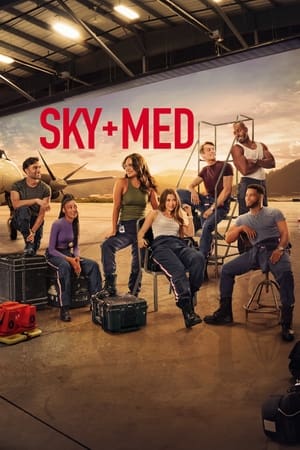 SkyMed SkyMed-hd