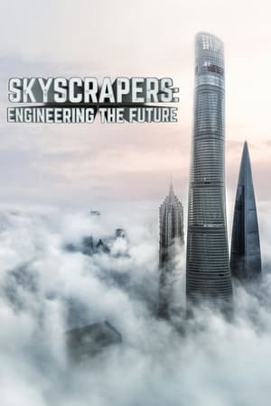 Skyscrapers: Engineering the Future-hd