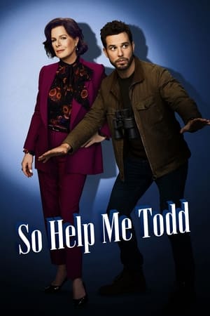 So Help Me Todd-hd