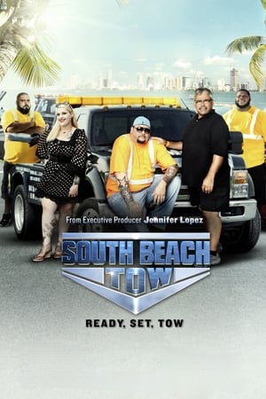 South Beach Tow South Beach Tow-hd