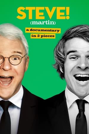 STEVE! (martin) a documentary in 2 pieces STEVE! (martin) a documentary in 2 pieces-hd