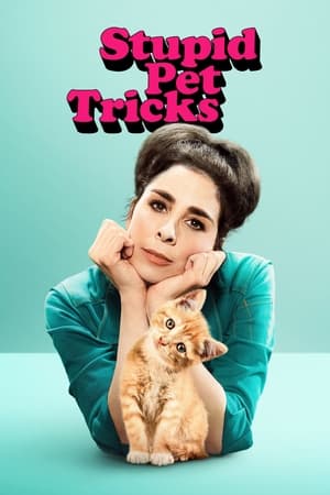 Stupid Pet Tricks Stupid Pet Tricks-hd