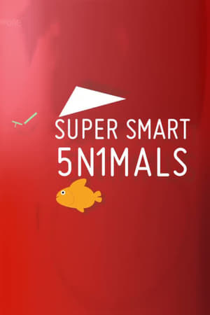 Super Smart Animals-hd