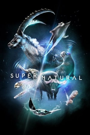 Supernatural Supernatural-hd