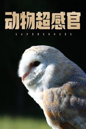 Supersenses-hd
