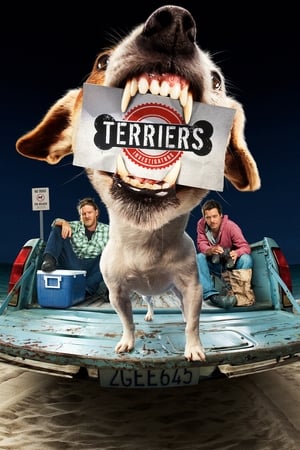 Terriers Terriers-hd