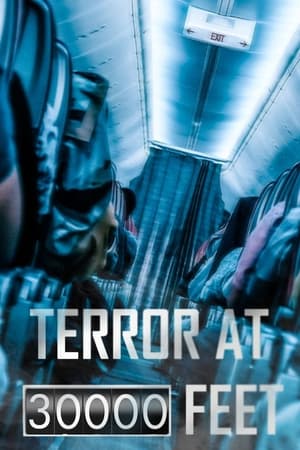 Terror at 30000 Feet Terror at 30000 Feet-hd