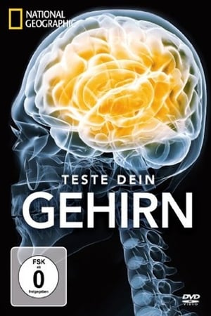 Test Your Brain-hd