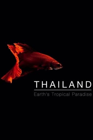 Thailand: Earth's Tropical Paradise Thailand: Earth's Tropical Paradise-hd