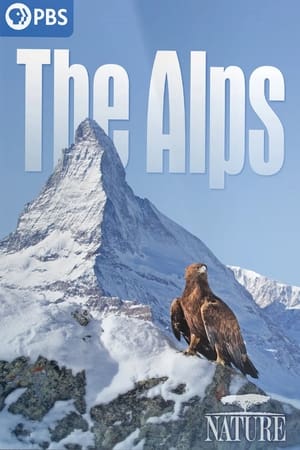 The Alps The Alps-hd