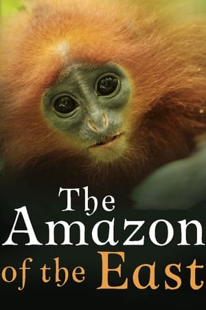 The Amazon of the East The Amazon of the East-hd