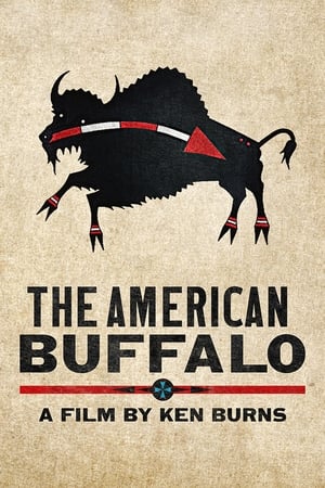 The American Buffalo The American Buffalo-hd