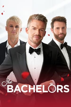The Bachelor The Bachelor-hd