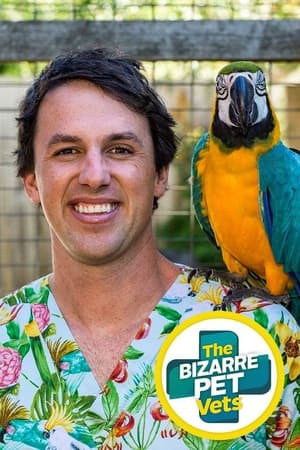 The Bizarre Pet Vets The Bizarre Pet Vets-hd