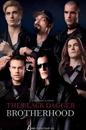 The Black Dagger Brotherhood-hd