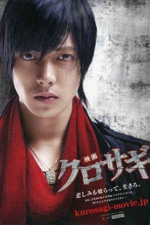 The Black Swindler The Black Swindler-hd