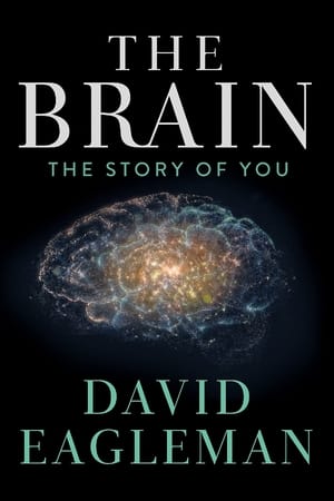 The Brain with David Eagleman The Brain with David Eagleman-hd