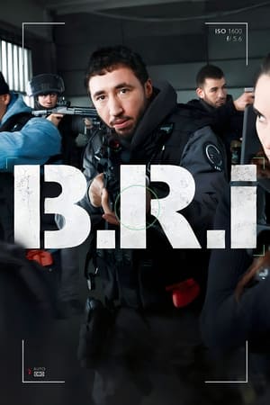 The Brigade The Brigade-hd