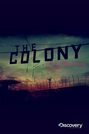 The Colony The Colony-hd